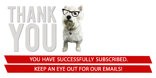 Thanks for Subscribing!
